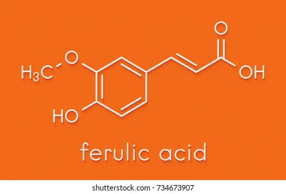 Ferulic Acid for Skin: Benefits, Uses, and Future Trends
