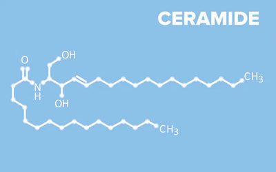 Unlock the Secret to Radiant Skin: The Power of Ceramides