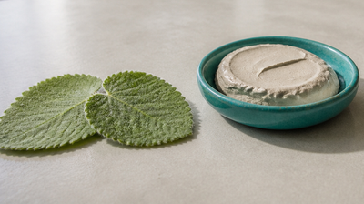 Ground ajwain paste in a teal-green stoneware dish beside two fuzzy ajwain leaves on pale stone