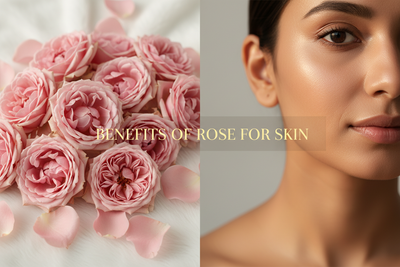 Rose for Skin: Benefits of Rosa Centifolia for a Clear, Healthy Glow