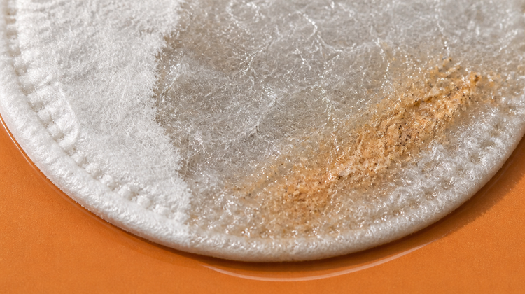 Macro view of a round cotton pad on a warm orange tile, dry and fluffy on one side, soaked and matted on the other, with a beige smudge of lifted grime sitting on the wet fibres.