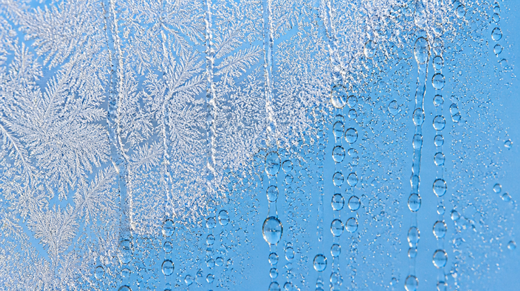 Macro of a cold windowpane: dry feathery frost crystals across one side, clear thawed glass with condensation beads and run-trails across the other.