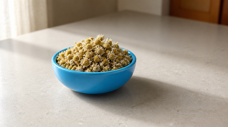 Dried German chamomile flowers, the source of bisabolol, heaped in a sky-blue ceramic bowl on stone