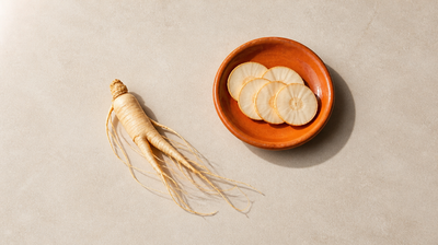 A whole fresh ginseng root with fine rootlets beside an orange ceramic dish of thin ginseng slices on pale stone