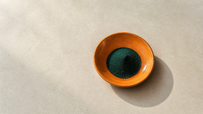 A heap of fine dark blue-green spirulina powder in a burnt-orange stoneware dish on pale limestone, for an article on spirulina for skin