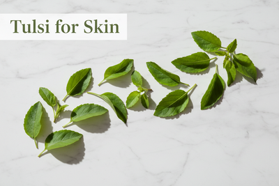 Tulsi for Skin: Benefits of Ocimum Sanctum for Face, Glow, and Clear Skin