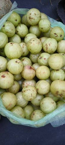 Amla
