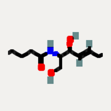 Ceramides